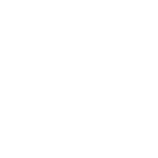 VELSKYFのロゴ